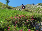 Da Ca San Marco al PASSO-LAGO di VERROBBIO ad anello salendo dall'ALTA VIA MERCATORUM -1lu25  - FOTOGALLERY